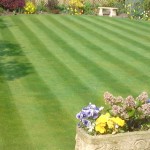 Preparing Your Lawns for Spring
