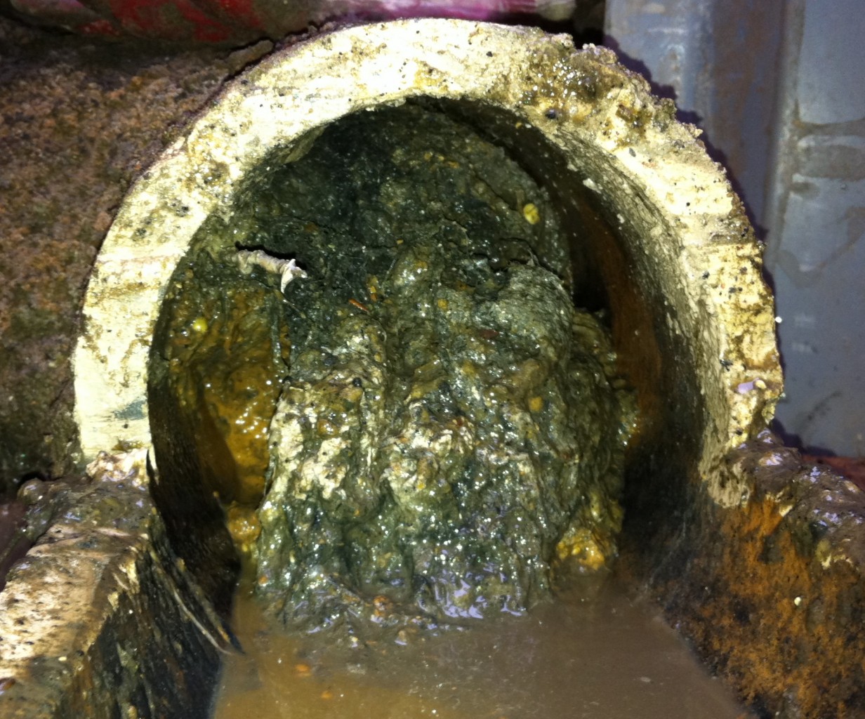 Blocked Drains? Tips to keep them flowing: - ProTech Property Solutions