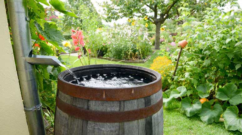 Environmentally Friendly Gardening Water Butt