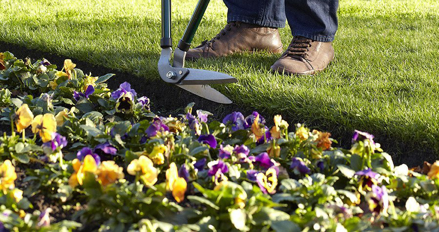 garden maintenance