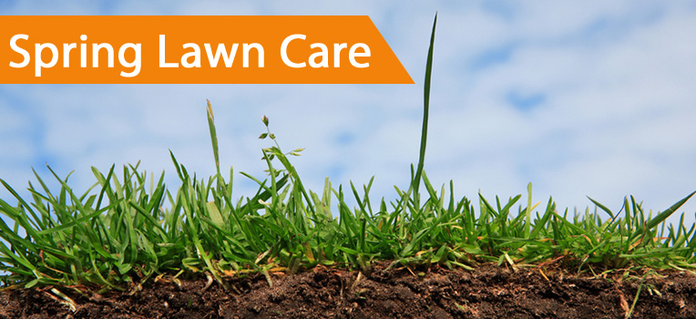 Spring Lawn Care