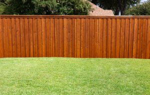 Garden Maintenance Services