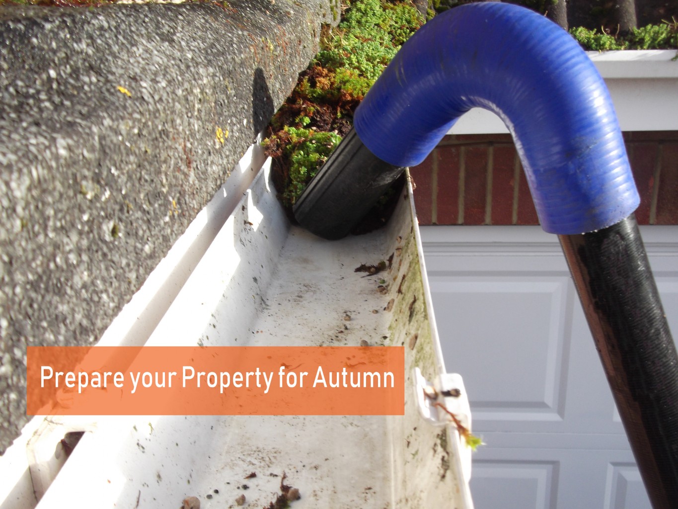 Prepare your Property for Autumn Protech Property Solutions