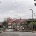 Protect your property in severe winds