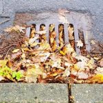 Autumn leaves block drains