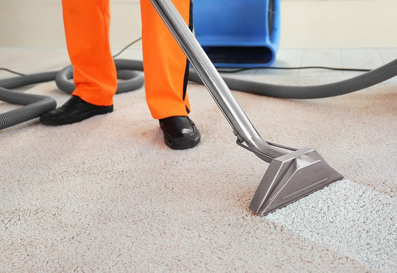 Guide to Carpet Cleaning
